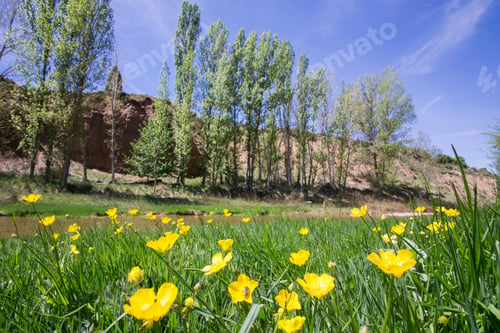 Preview: Spring In Gudar Mountains Teruel Aragon Spain