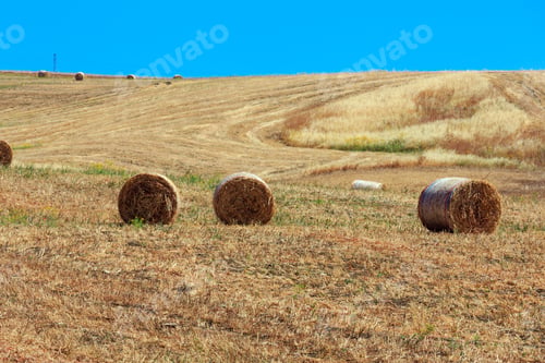 Preview: Beautiful Landscape Of Sicily Summer Countryside In Italy.