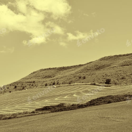 Preview: Stubble Fields On The Hills Of Sicily, Retro Image Filtered Style