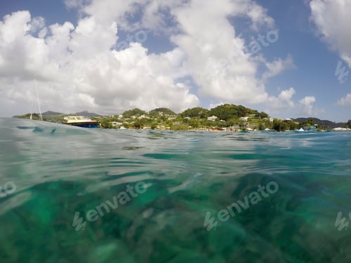 Preview: Under Water Scene Young Island, Saint Vincent And The Grenadines Caribbean Sea