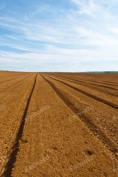 Preview: Plowed Fields In Israel