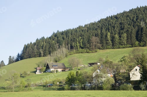 Preview: Black Forest Landscape Germay