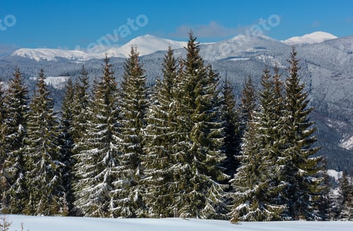 Vorschau: Malerischer Winterblick auf die Berge vom Skupova-Berghang, Ukraine, Blick auf den Chornohora-Kamm und