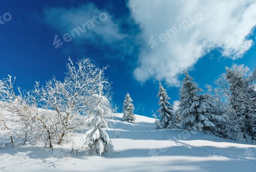 Preview: Morning Winter Calm Mountain Landscape With Beautiful Frosting Trees And Footpath Track Through