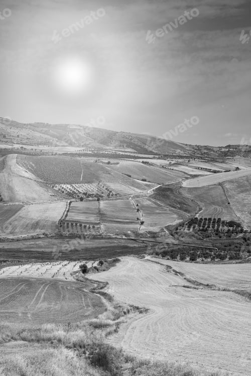 Preview: Wheat Fields In Sicily After Harvesting. Sicilian Landscape At Sunrise, Hills, Flowers, Pasture And
