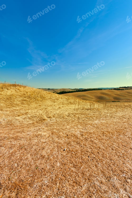 Preview: Sloping Hills Of Tuscany In The Autumn
