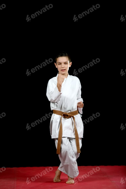 Preview: Karate Martial Arts