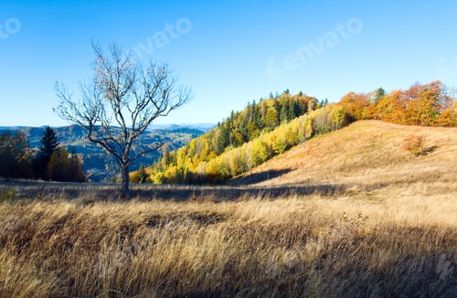 Preview: Autumn Mountain Nimchych Pass (Carpathian, Ukraine) And Colorful Trees On Hill.