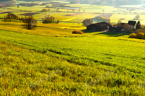 Preview: The Small Village High Up In The Swiss Alps