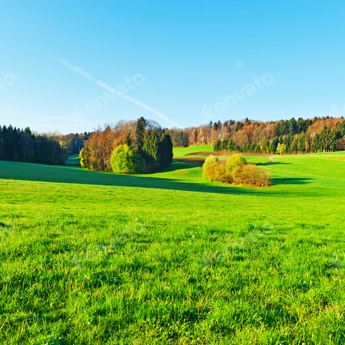 Preview: Alpine Pasture Framed By Forest In Switzerland