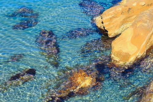 Preview: Stones In Clear Sea Water Nier Shore.