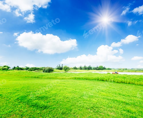 Aperçu: Field Of Green Grass And Blue Sky In Summer Day