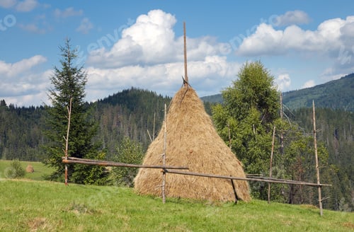 Preview: Summer Mountain Green Meadow With Stacks Of Hay (Carpathian Mt-S, Ukraine).