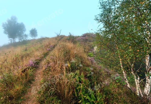Preview: Misty Morning Sunrise Dew On Wild Mountain Grassy Hill.