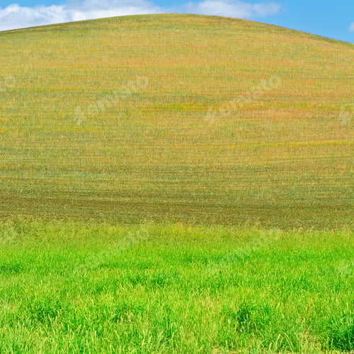 Preview: Wheat Fields On The Hill Of Sicily