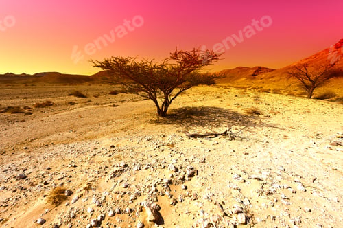 Preview: Colorful Rocky Hills Of The Negev Desert In Israel. Breathtaking Landscape And Nature Of The Middle