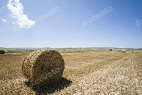 Preview: Rural Landscape Teruel Province Aragon Spain
