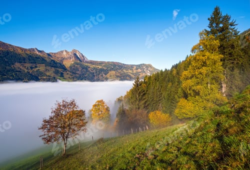 Preview: Sunny Idyllic Autumn Alpine Scene. Peaceful Misty Morning Alps Mountain View From Hiking Path From