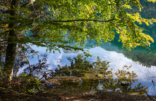 Preview: Sunny Idyllic Colorful Autumn Alpine View. Peaceful Mountain Lake With Clear Transparent Water And