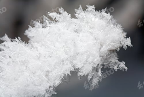 Preview: Beautiful Shining Hoarfrost On A Twig