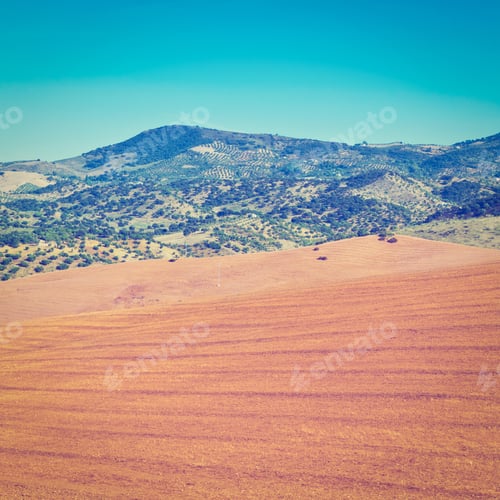 Preview: Olive Groves And Plowed Sloping Hills Of Spain In The Autumn, Instagram Effect