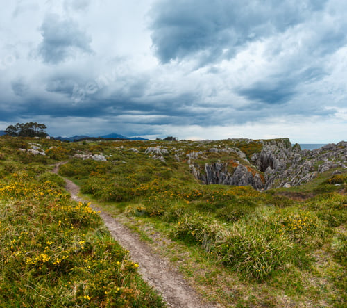 Preview: Path And Summer Blossoming Rocky Coast With Yellow Bushes (Asturias, Spain). Two Shots Stitch Image.