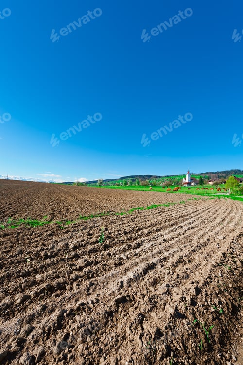 Preview: The Swiss Village Surrounded By Forests And Plowed Fields