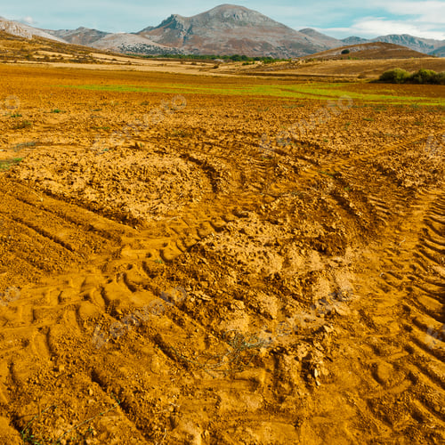 Preview: Fields In The Cantabrian Mountain, Spain
