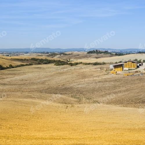 Preview: A Barn With Bales Of Wheat Hay In Italy. Plowed Sloping Hills Of Tuscany In The Autumn. Rural