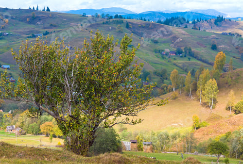 Preview: Beautiful Autumn Mountain And Small Village On Mountainside (Carpathian. Ukraine)