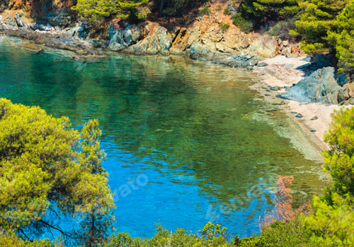 Preview: Morning Summer Aegean Sea Coast With Pine Trees On Shore And Small Beach, Sithonia, Halkidiki