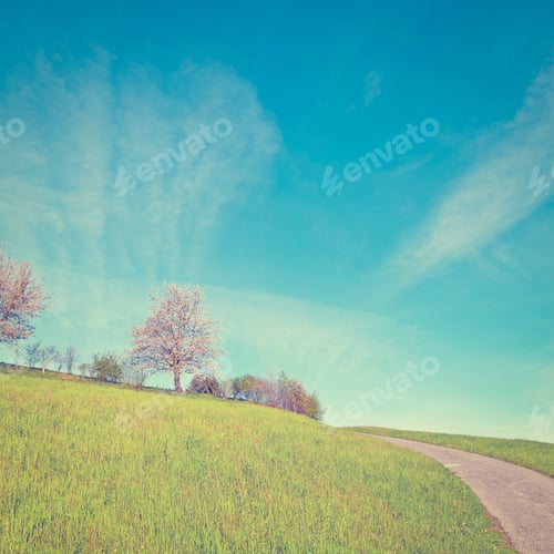 Preview: Asphalt Road High Up In The Swiss Alps, Instagram Effect