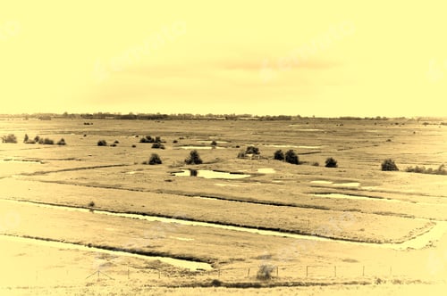 Preview: Agriculture On Land Reclaimed From The See In Netherlands. Tidal Marsh And Meadows Formed By Dams