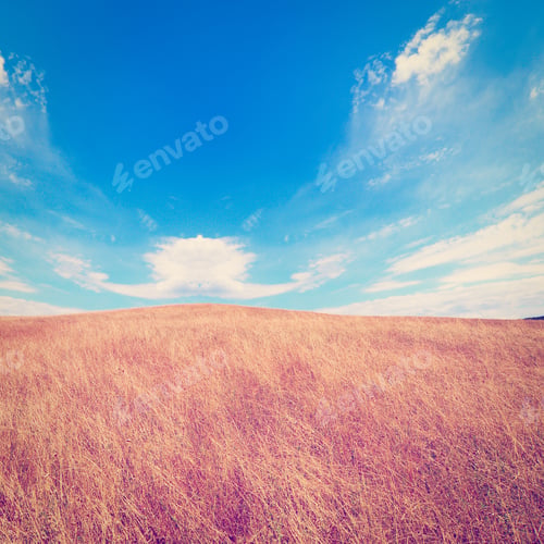 Preview: Wavy Hills Of Tuscany Under Blue Cloudy Sky, Instagram Effect