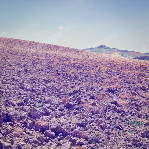 Preview: Plowed Fields On The Sloping Hills Of Sicily, Retro Effect