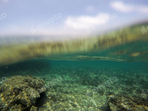 Preview: Snorkeling In Tabarca Island Alicante Province Spain