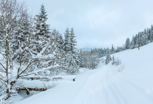 Vorschau: Winterliches Bergdorf. Holzbrücke und verschneite Landstraße in den ukrainischen Karpaten bei bewölktem Himmel