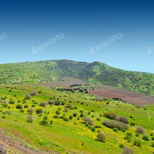 Preview: Meadows In Golan Heights, Early Spring