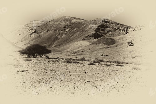 Preview: Loneliness And Emptiness Of The Rocky Hills Of The Negev Desert In Israel. Breathtaking Landscape