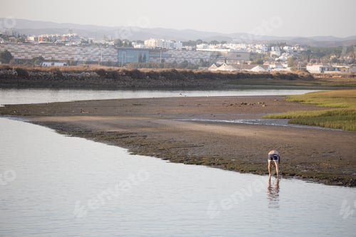 Preview: Sunset Landscape Over Gilao River In Tavira Algarve Portugal