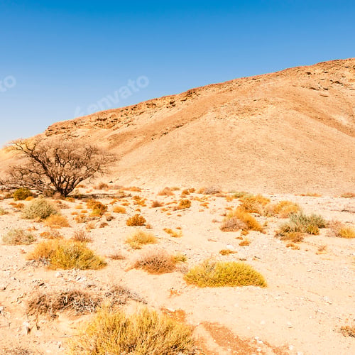 Vista previa: Rocky Hills Of The Negev Desert In Israel. Breathtaking Landscape Of The Rock Formations In The
