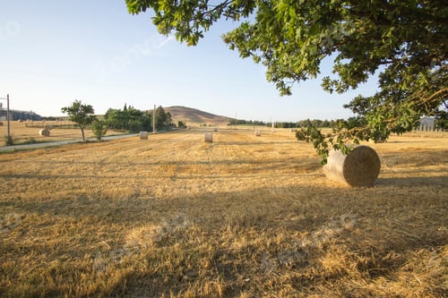 Preview: Magnificent Tuscan Rolling Hills Landscape In The Val D"Orcia Valley. World Heritage Site In