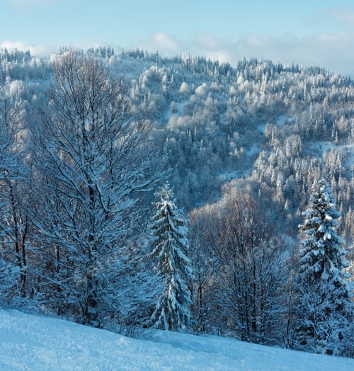 Preview: The First Shadows Of Setting Sun On Winter Mountain Slopes (Skole Beskids, Lviv Oblast