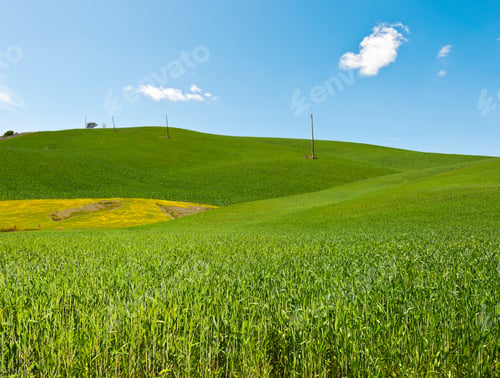 Preview: High-Voltage Power Line Passes Through The Green Sloping Meadows Of Tuscany