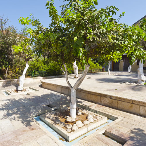 Preview: Courtyard In The Historic Center Of Tel Aviv In Israel
