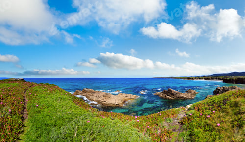 Preview: Summer Blossoming Atlantic Coastline Landscape With Pink Flowers And Two Beaches Xuncos And Castros
