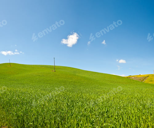 Preview: Green Sloping Meadows Of Tuscany