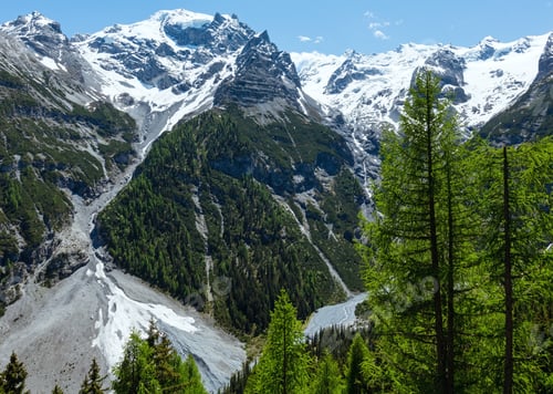 Preview: Summer Stelvio Pass With Fir Forest And Snow On Mountainside (Italy)