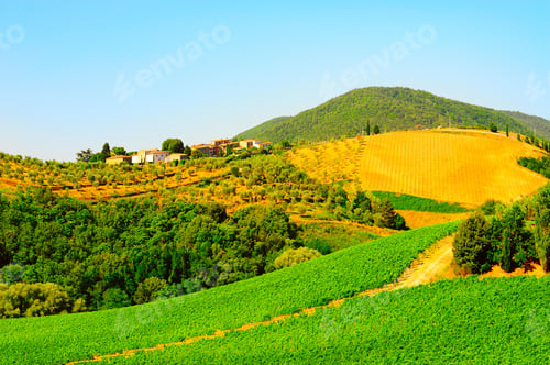 Preview: Tuscan Landscape With Vineyards And Olive Groves