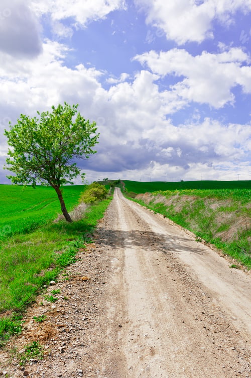 Preview: Dirt Road Between Green Sloping Meadows Of Tuscany